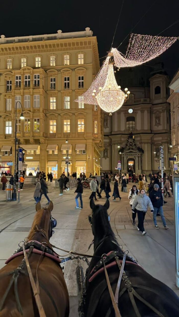 Seit gestern „weihnachtet“ es sehr. 🤗🎄 Zugegeben, die festliche Beleuchtung macht eure Fiakerfahrt nochmal spezieller & schöner!