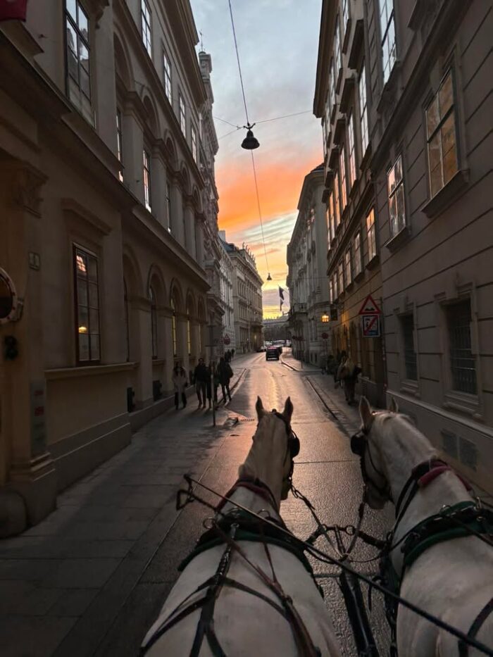 Wir wünschen euch ein angenehmes Adventswochenende! 🥰